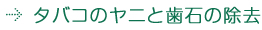 歯石・タバコのヤニの除去